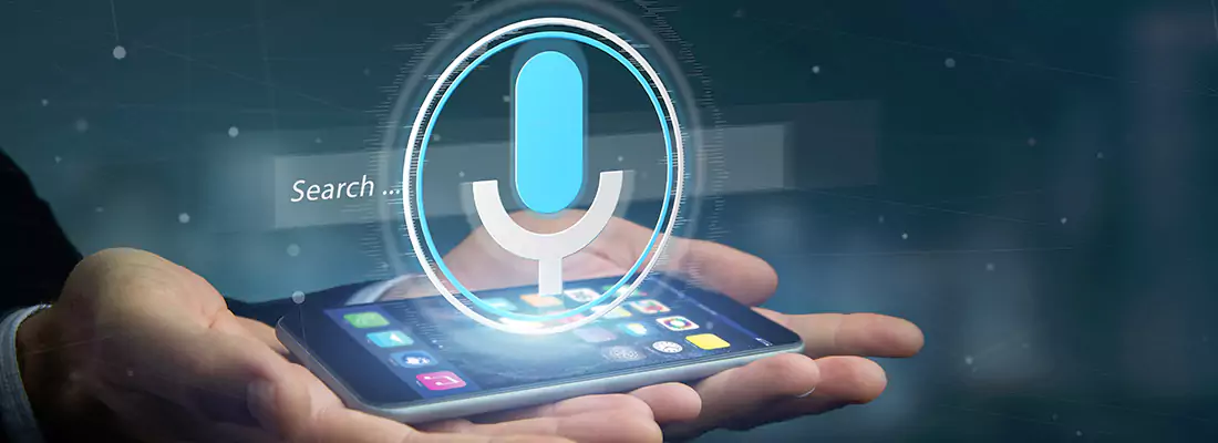 Enhance Security with Voice Recognition Access Systems in St. Petersburg, FL