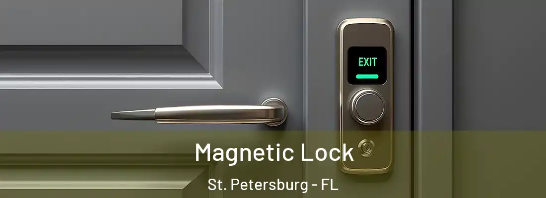  Magnetic Lock St. Petersburg - FL